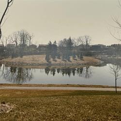 'Baby' Loafers Lake, 1982